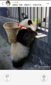 柚次元广播剧app官方版