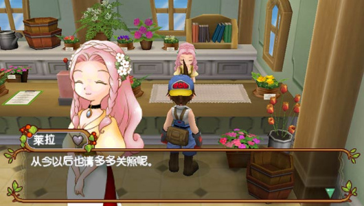 牧场物语蜜糖村与大家的心愿psp版