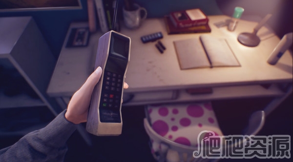 瑞秋：福斯特自杀之谜