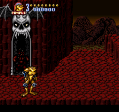 忍者蛙sfc美国版