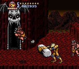 忍者蛙sfc美国版