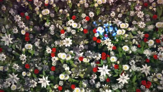 爱丽丝梦游仙境：隐藏之物