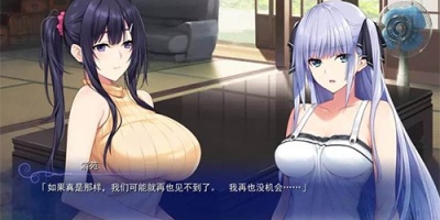 汉化直装版手游合集