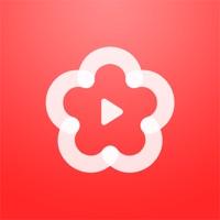 梅花视频老版本