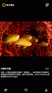 国家地理每日精选官方版