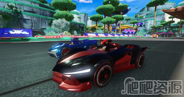 组队索尼克赛车