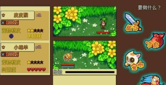 口袋妖怪白金psp版