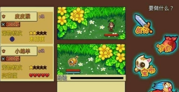 口袋妖怪白金psp版