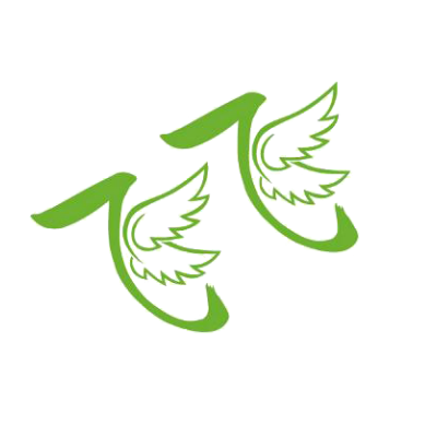 飞飞影视永久观影