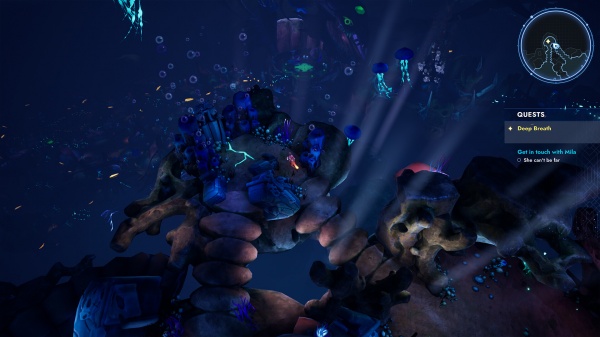 巴特拉：家在何方