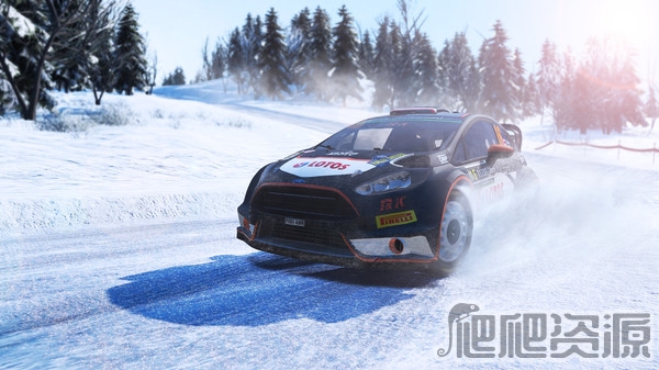 世界汽车拉力锦标赛5