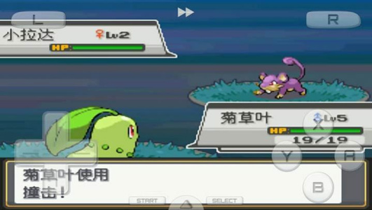 口袋妖怪心金nds版