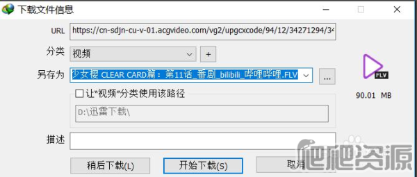 Internet Download Manager