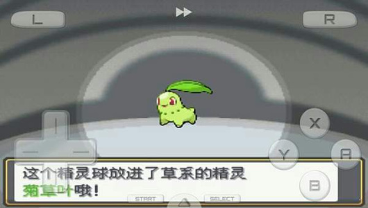 口袋妖怪金小霸王版