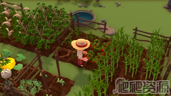 落难航船：诅咒之岛的探险者