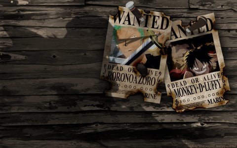 海贼王目标赏金之王