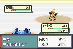 口袋妖怪心魂之羽纪念