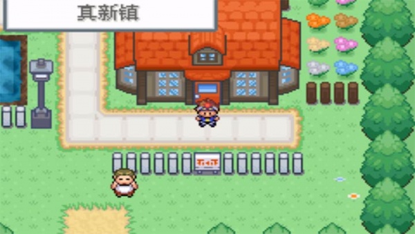 口袋妖怪口袋暴龙