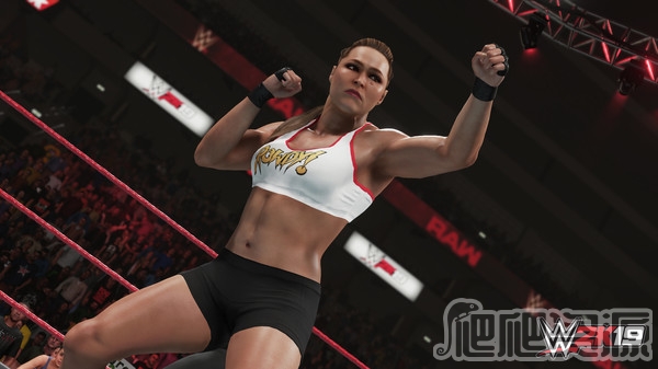 WWE 2K19