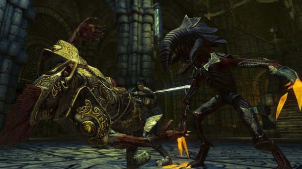 神界2：开发者版