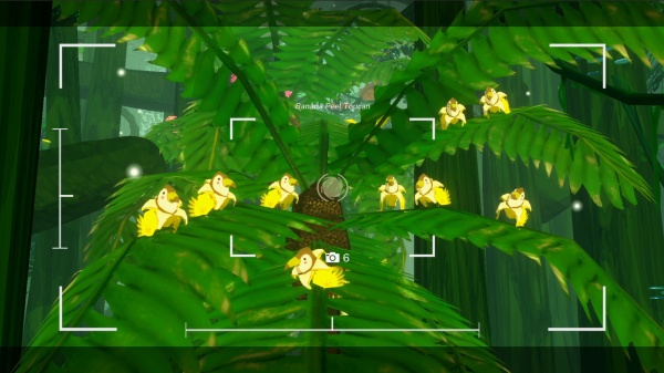 马拉维拉岛的奇禽异兽