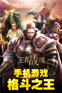 王者战魂九游版