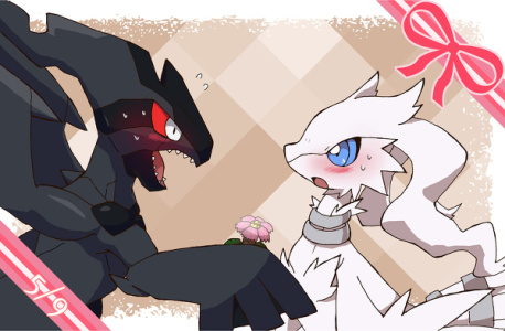 口袋妖怪神兽领域psp版