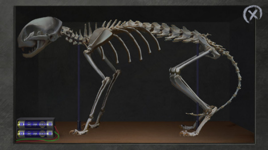 匿名信：失心者