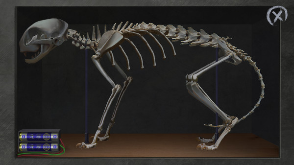 匿名信：失心者