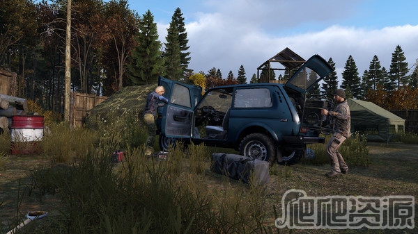 DayZ