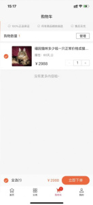 猫咪maomi永久版