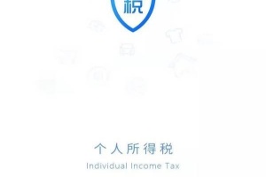 国家税务总局个人所得税app