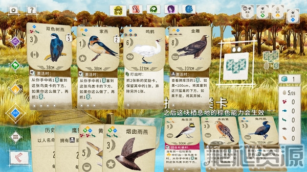展翅翱翔