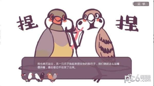 咕啾文鸟恋爱物语九游版