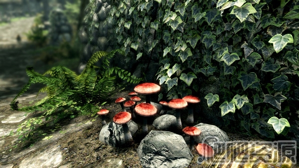 上古卷轴5：天际