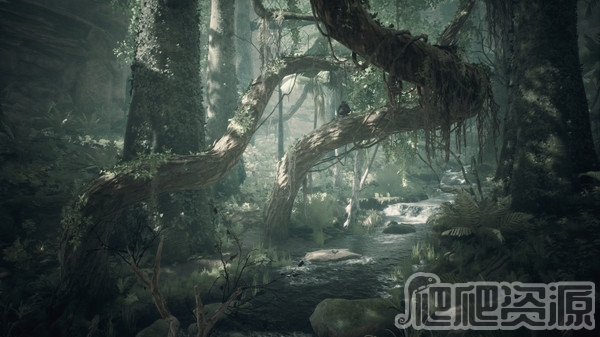 祖先：人类史诗