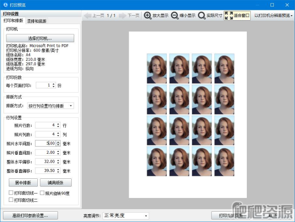 神奇证件照片打印软件