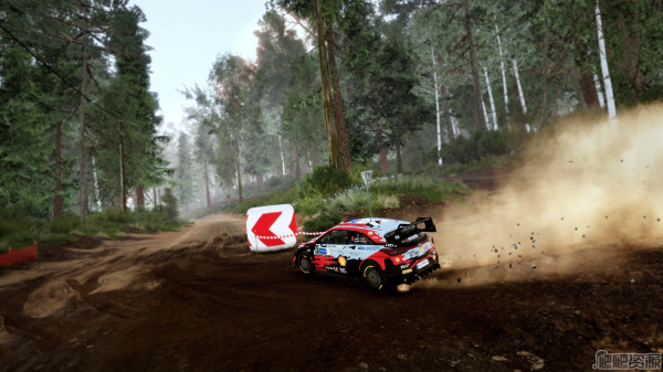 世界汽车拉力锦标赛10