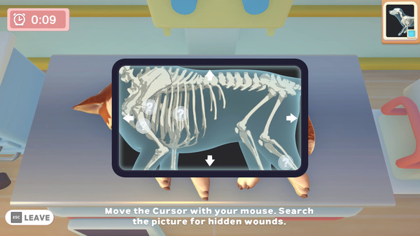 我的领域：宠物诊所猫和狗