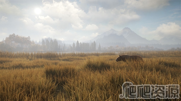 猎人：野性的呼唤