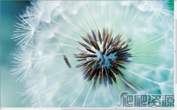 All网站图片批量下载器