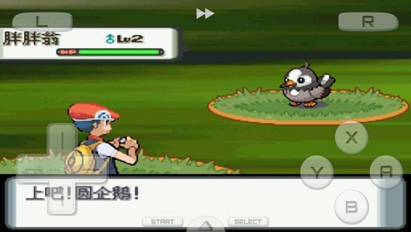 口袋妖怪钻石日版