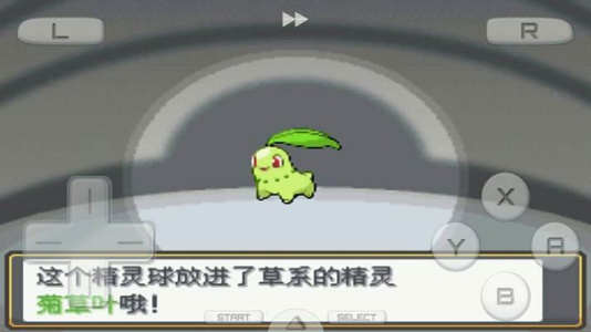 口袋妖怪心金nds版