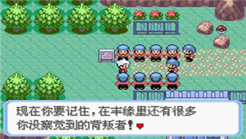 口袋妖怪蛇纹木原版