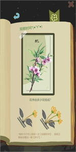 老农种树单机版