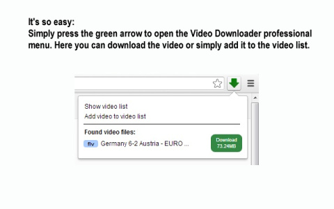 Video Downloader professional