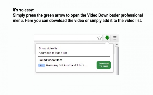Video Downloader professional