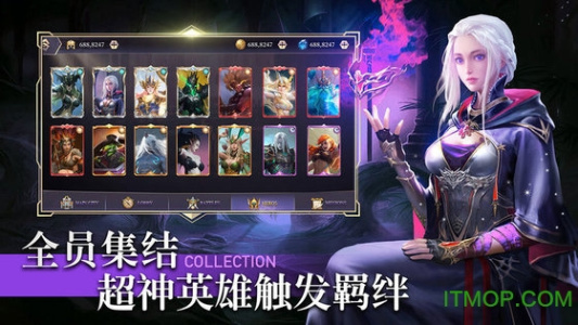 圣光与荣耀国际服