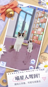 梦间集天鹅座小米版