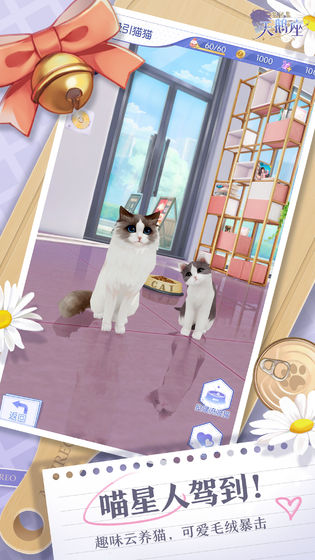 梦间集天鹅座小米版